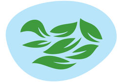 Plokk-dagurinn-logo