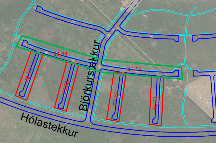 Bjorkurstekkur-malbikun