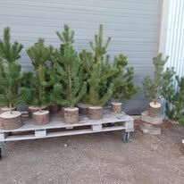 485132073_1174059434411136_2746462313337639275_n