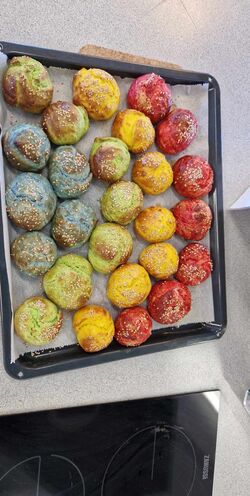 430326675_415106074254760_9206043077107383463_n