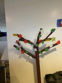 583654425_1788549295110658_7510052072269391817_n-1-