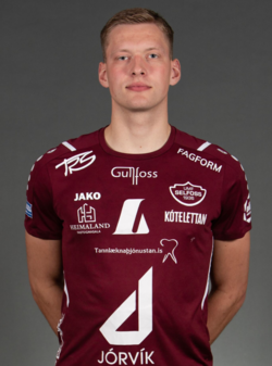Hannes-Hoskuldsson_1766148891440