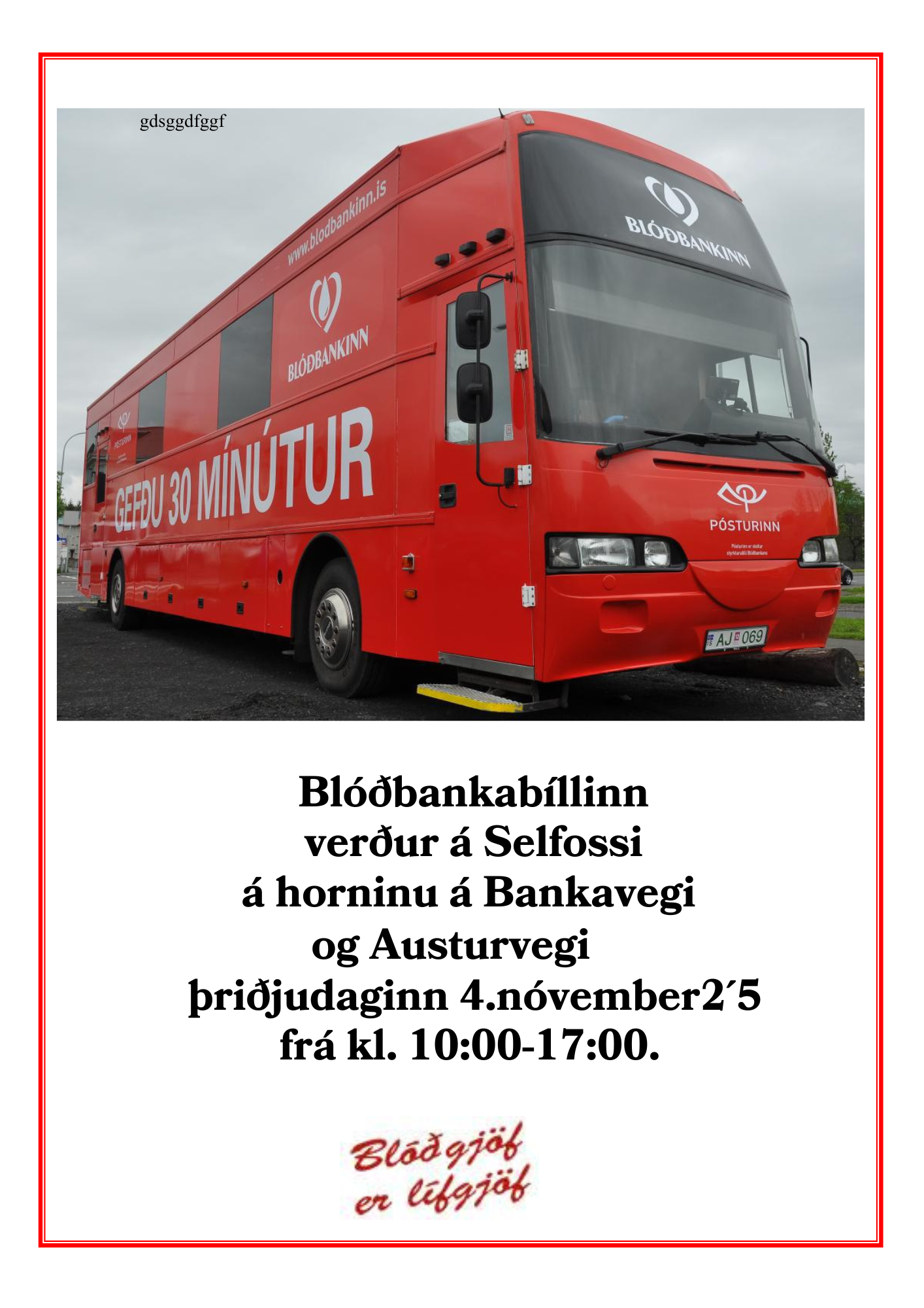 Selfossblodbanki4nov