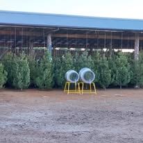 484589154_1174059151077831_4688634131583132462_n